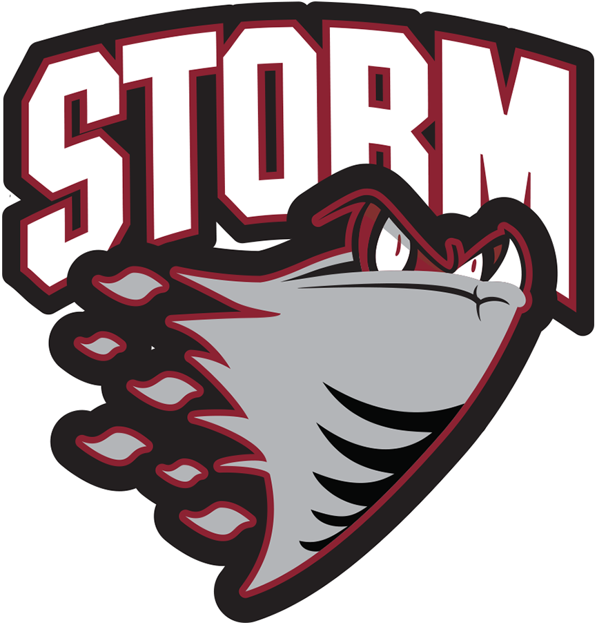 Guelph Storm 1997-2007 Primary Logo iron on transfers for T-shirts